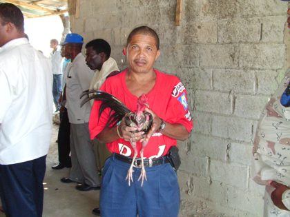 Stolzer Gellero
